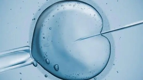 通输卵管和做试管婴儿大约多少钱？